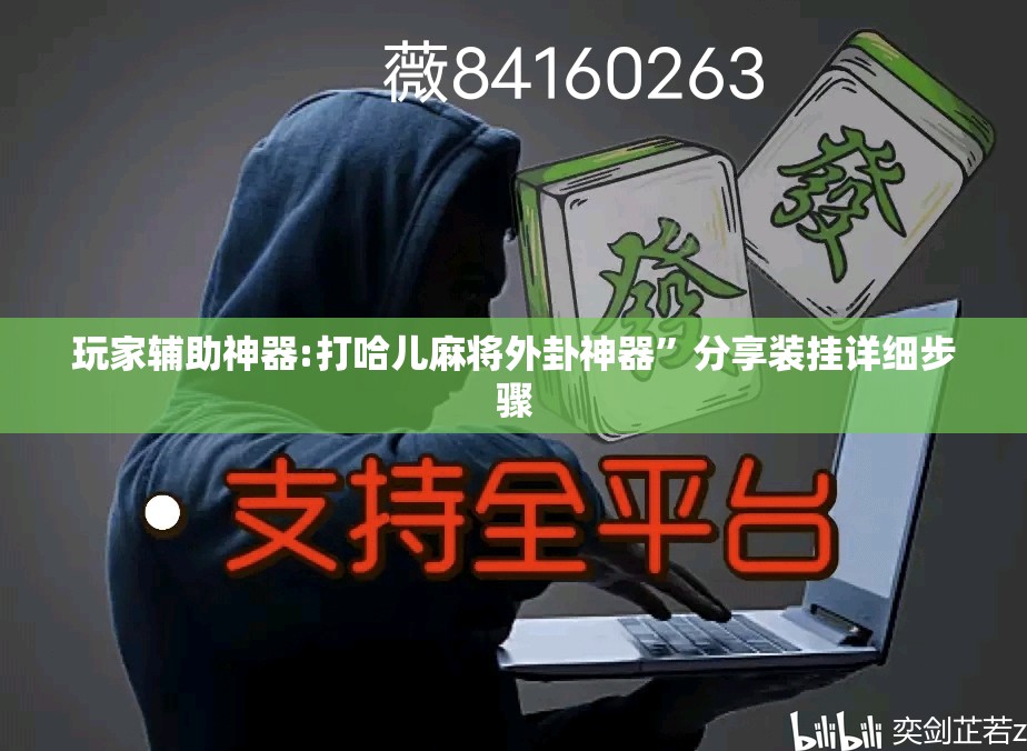 玩家辅助神器:打哈儿麻将外卦神器	”分享装挂详细步骤