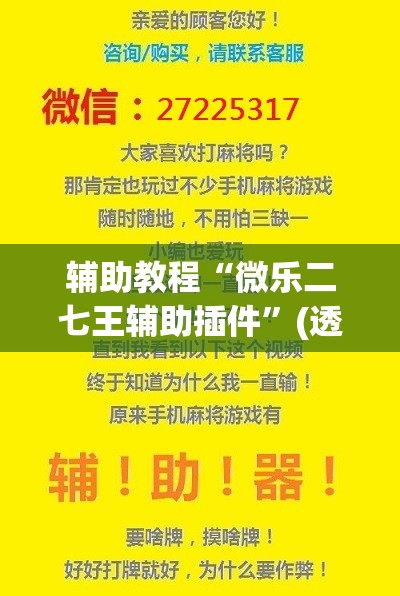 辅助教程“微乐二七王辅助插件”(透视挂)辅助透视教程