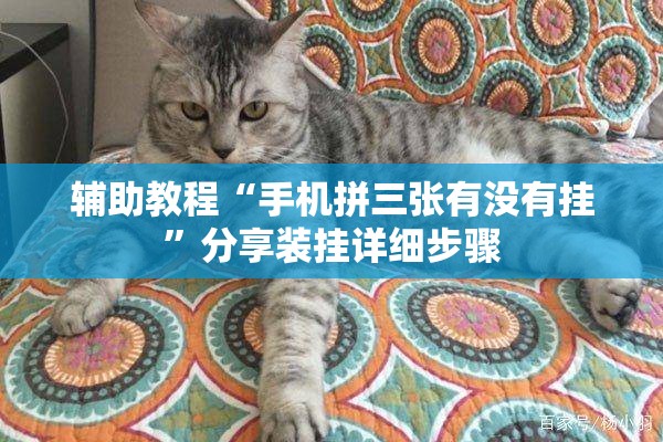 辅助教程“手机拼三张有没有挂	”分享装挂详细步骤