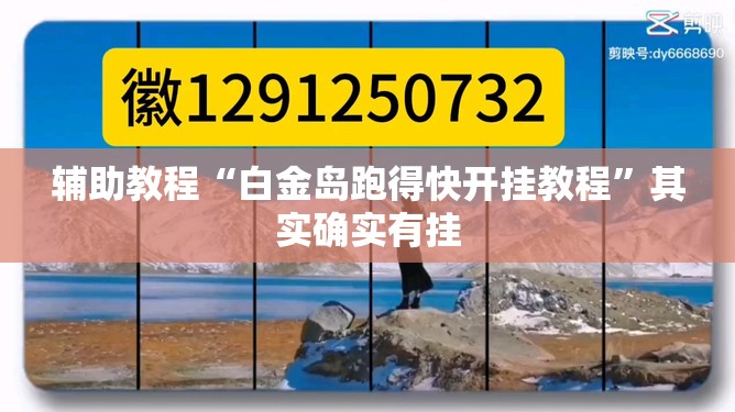 辅助教程“白金岛跑得快开挂教程”其实确实有挂
