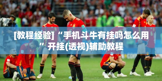[教程经验]“手机斗牛有挂吗怎么用	”开挂(透视)辅助教程