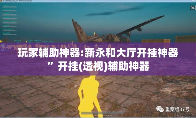 玩家辅助神器:新永和大厅开挂神器”开挂(透视)辅助神器