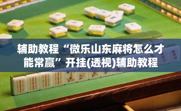 辅助教程“微乐山东麻将怎么才能常赢”开挂(透视)辅助教程