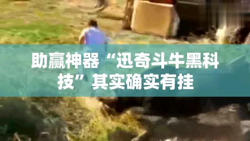 助赢神器“迅奇斗牛黑科技	”其实确实有挂
