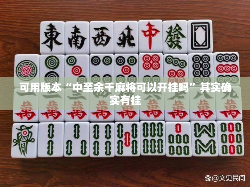 可用版本“中至余干麻将可以开挂吗”其实确实有挂