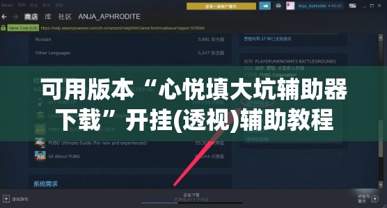 可用版本“心悦填大坑辅助器下载”开挂(透视)辅助教程