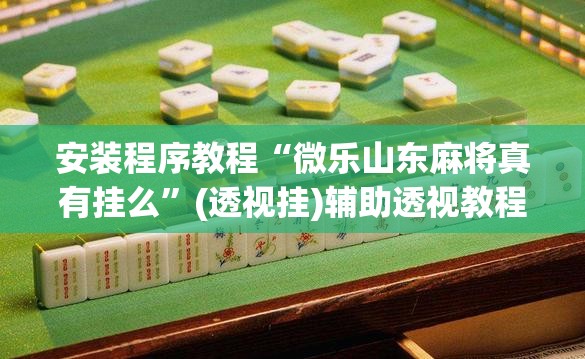 安装程序教程“微乐山东麻将真有挂么”(透视挂)辅助透视教程