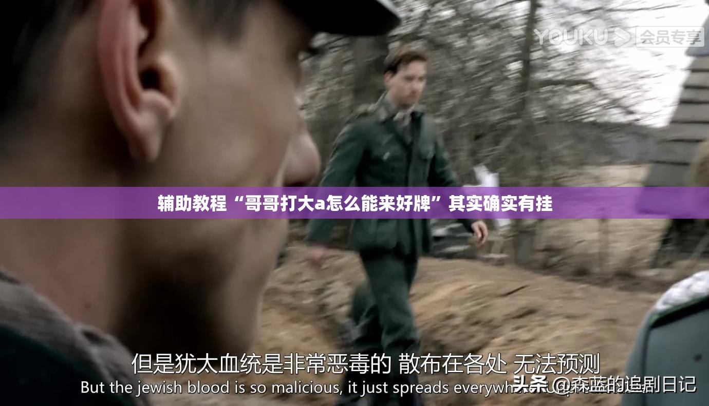 辅助教程“哥哥打大a怎么能来好牌	”其实确实有挂