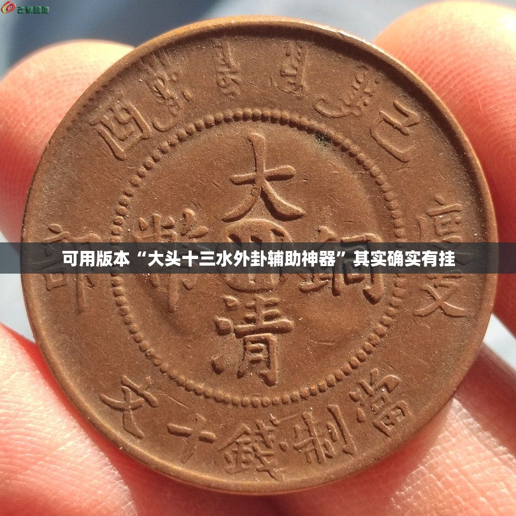 可用版本“大头十三水外卦辅助神器”其实确实有挂