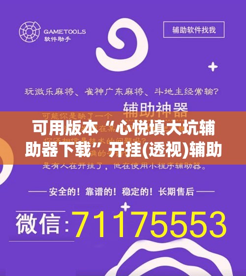 可用版本“心悦填大坑辅助器下载”开挂(透视)辅助神器