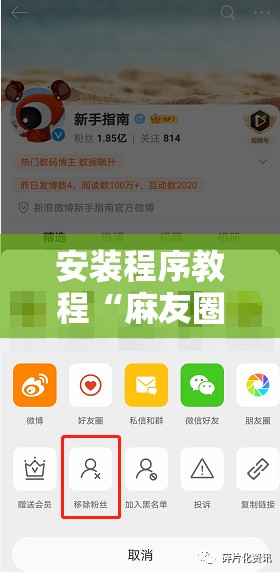 安装程序教程“麻友圈2到底有没有挂!辅助神器插件下载 安装程序教程“麻友圈2到底有没有挂!辅助神器插件下载