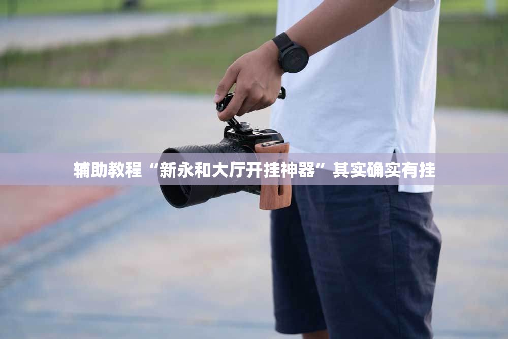 辅助教程“新永和大厅开挂神器”其实确实有挂