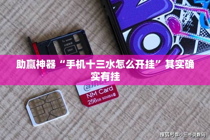 助赢神器“手机十三水怎么开挂”其实确实有挂
