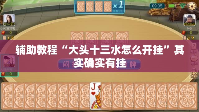 辅助教程“大头十三水怎么开挂	”其实确实有挂