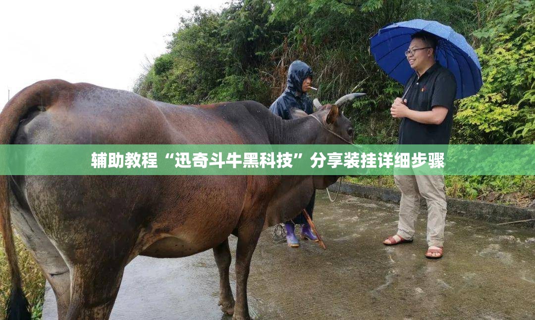 辅助教程“迅奇斗牛黑科技	”分享装挂详细步骤
