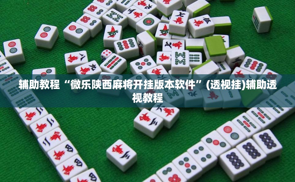 辅助教程“微乐陕西麻将开挂版本软件	”(透视挂)辅助透视教程