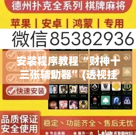 安装程序教程“财神十三张辅助器”(透视挂)辅助透视教程