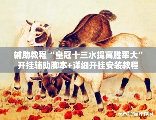 辅助教程“皇冠十三水提高胜率大”开挂辅助脚本+详细开挂安装教程