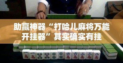 助赢神器“打哈儿麻将万能开挂器”其实确实有挂