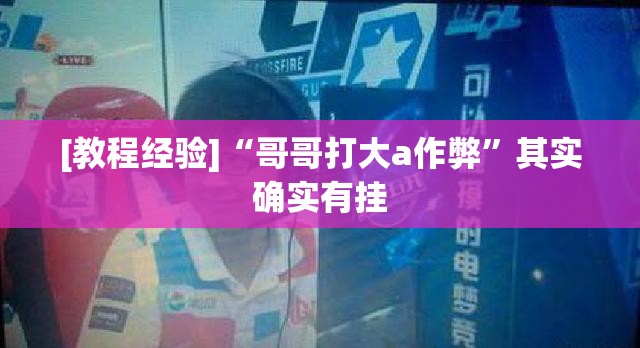[教程经验]“哥哥打大a作弊	”其实确实有挂