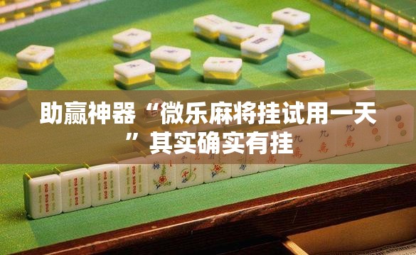 助赢神器“微乐麻将挂试用一天”其实确实有挂