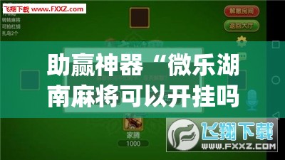 助赢神器“微乐湖南麻将可以开挂吗	”(透视挂)辅助透视教程