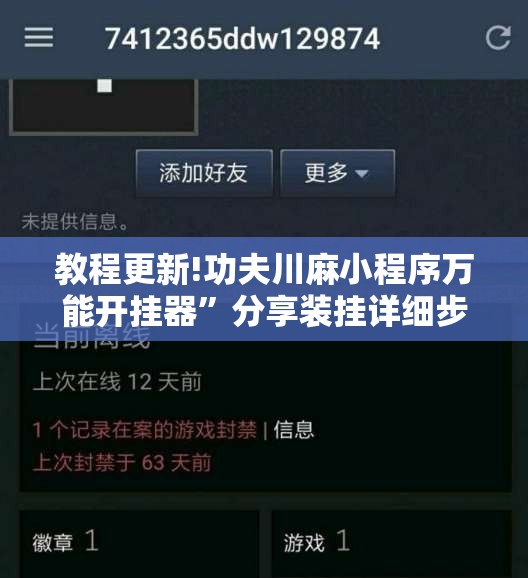 教程更新!功夫川麻小程序万能开挂器”分享装挂详细步骤