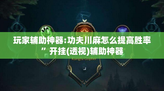 玩家辅助神器:功夫川麻怎么提高胜率”开挂(透视)辅助神器