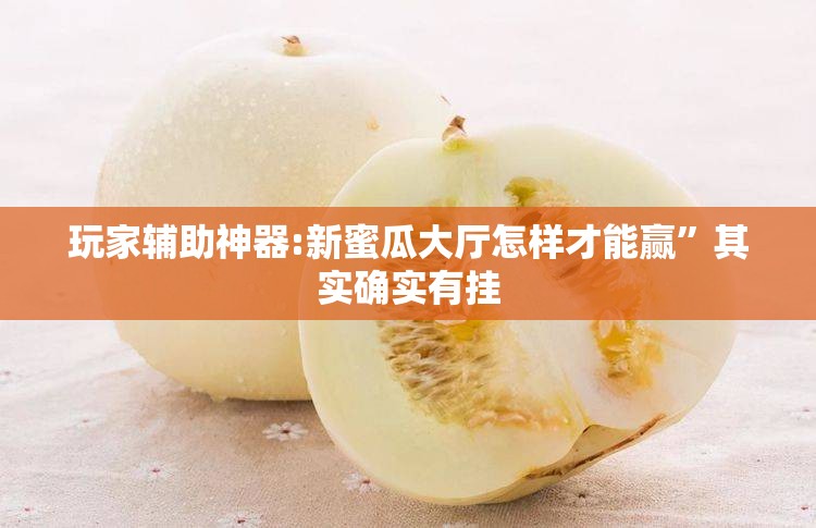 玩家辅助神器:新蜜瓜大厅怎样才能赢”其实确实有挂
