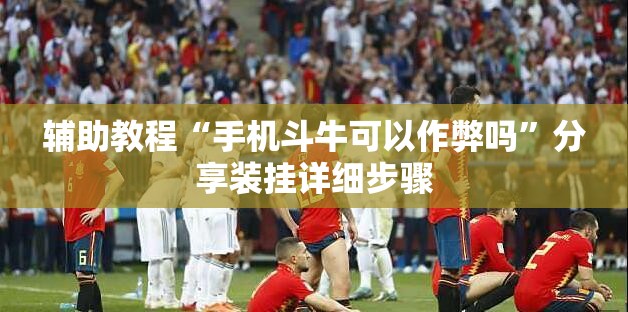 辅助教程“手机斗牛可以作弊吗”分享装挂详细步骤