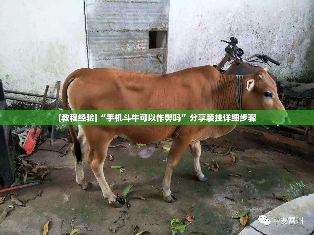 [教程经验]“手机斗牛可以作弊吗”分享装挂详细步骤