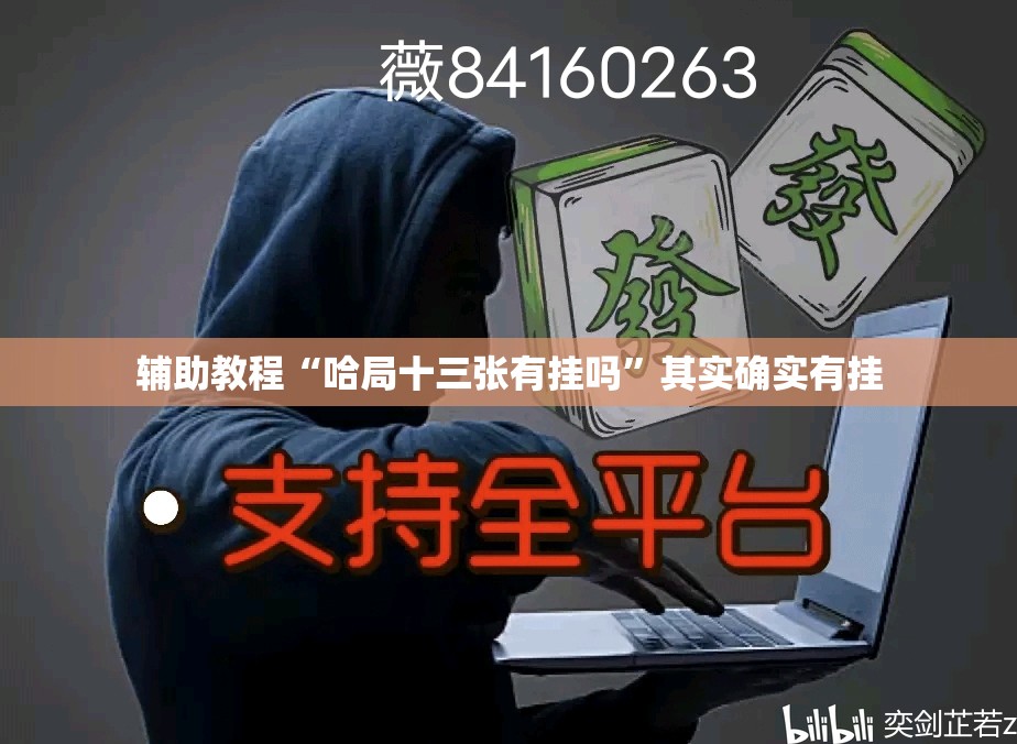 辅助教程“哈局十三张有挂吗”其实确实有挂