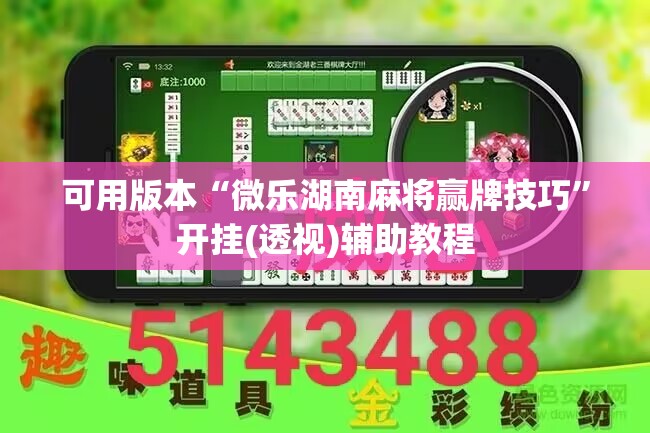 可用版本“微乐湖南麻将赢牌技巧”开挂(透视)辅助教程