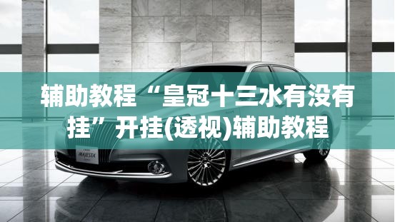 辅助教程“皇冠十三水有没有挂	”开挂(透视)辅助教程