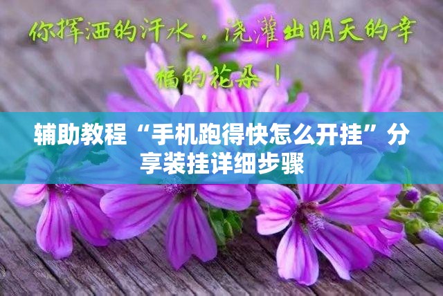 辅助教程“手机跑得快怎么开挂”分享装挂详细步骤