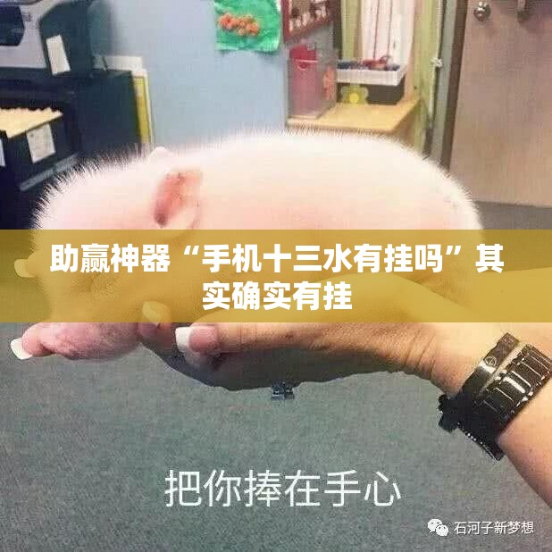 助赢神器“手机十三水有挂吗	”其实确实有挂
