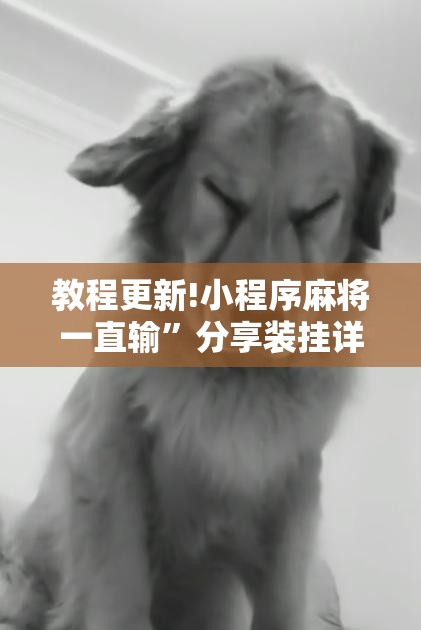 教程更新!小程序麻将一直输”分享装挂详细步骤