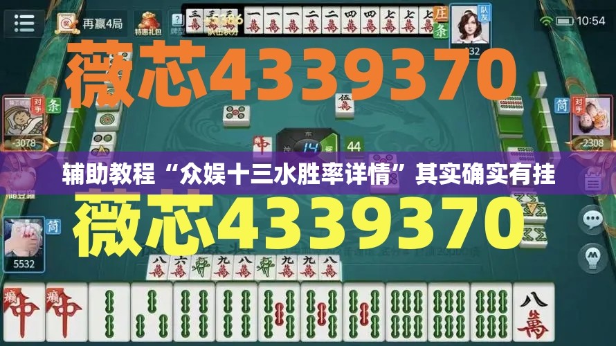 辅助教程“众娱十三水胜率详情”其实确实有挂