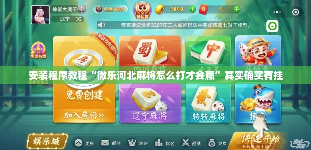安装程序教程“微乐河北麻将怎么打才会赢	”其实确实有挂