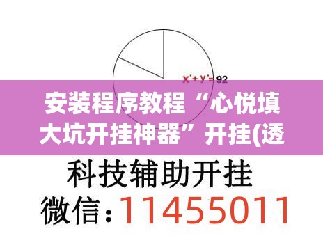 安装程序教程“心悦填大坑开挂神器”开挂(透视)辅助教程