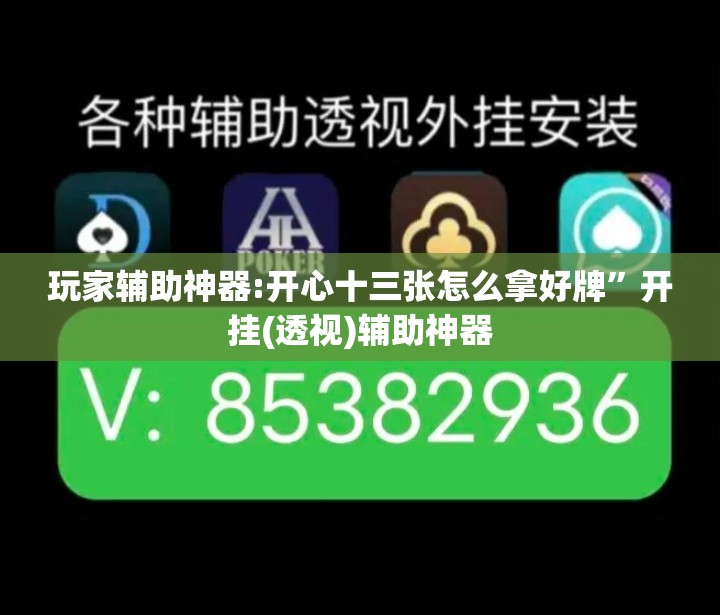玩家辅助神器:开心十三张怎么拿好牌”开挂(透视)辅助神器