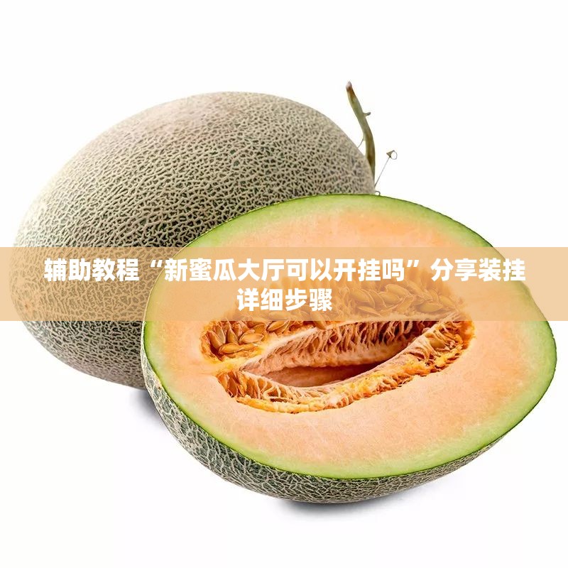 辅助教程“新蜜瓜大厅可以开挂吗	”分享装挂详细步骤