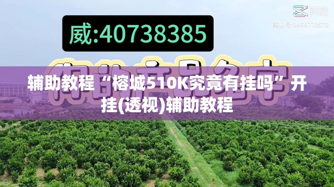 辅助教程“榕城510K究竟有挂吗	”开挂(透视)辅助教程