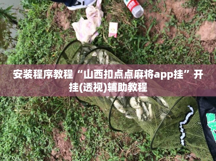 安装程序教程“山西扣点点麻将app挂	”开挂(透视)辅助教程
