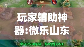 玩家辅助神器:微乐山东麻将有挂吗”开挂(透视)辅助神器