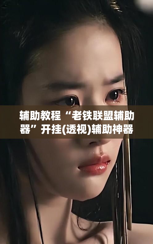 辅助教程“老铁联盟辅助器”开挂(透视)辅助神器