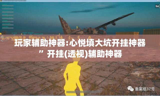 玩家辅助神器:心悦填大坑开挂神器”开挂(透视)辅助神器