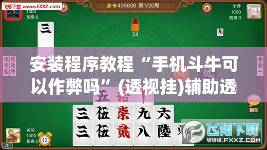 安装程序教程“手机斗牛可以作弊吗”(透视挂)辅助透视教程
