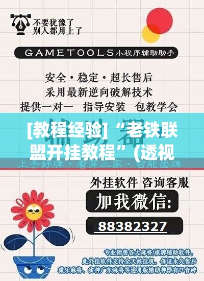 [教程经验]“老铁联盟开挂教程”(透视挂)辅助透视教程