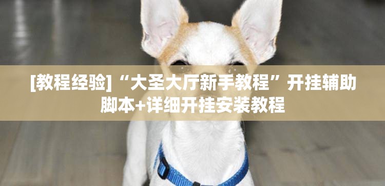 [教程经验]“大圣大厅新手教程	”开挂辅助脚本+详细开挂安装教程